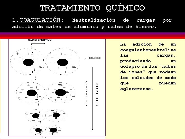 TRATAMIENTO QUÍMICO 1. COAGULACIÓN: Neutralización de cargas adición de sales de aluminio y sales