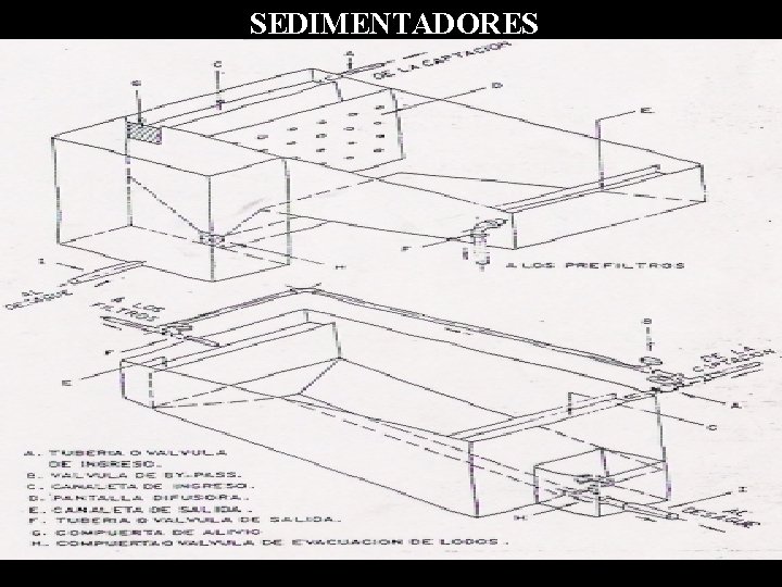 SEDIMENTADORES 