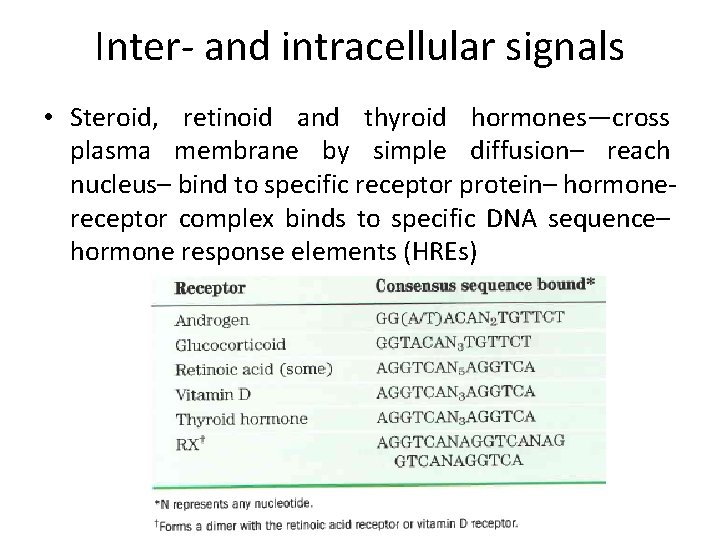 Inter- and intracellular signals • Steroid, retinoid and thyroid hormones—cross plasma membrane by simple