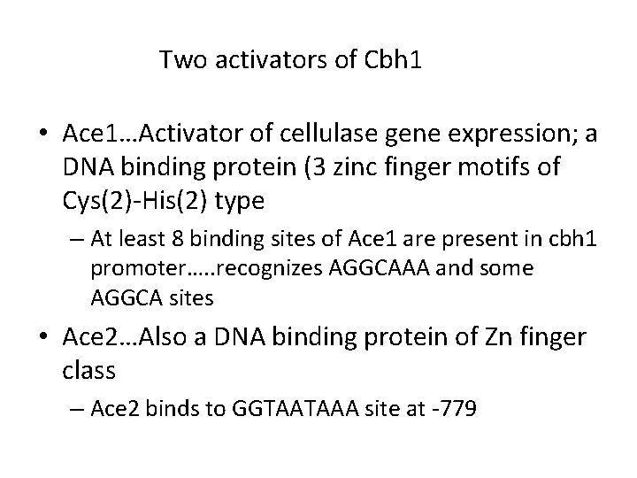 Two activators of Cbh 1 • Ace 1…Activator of cellulase gene expression; a DNA