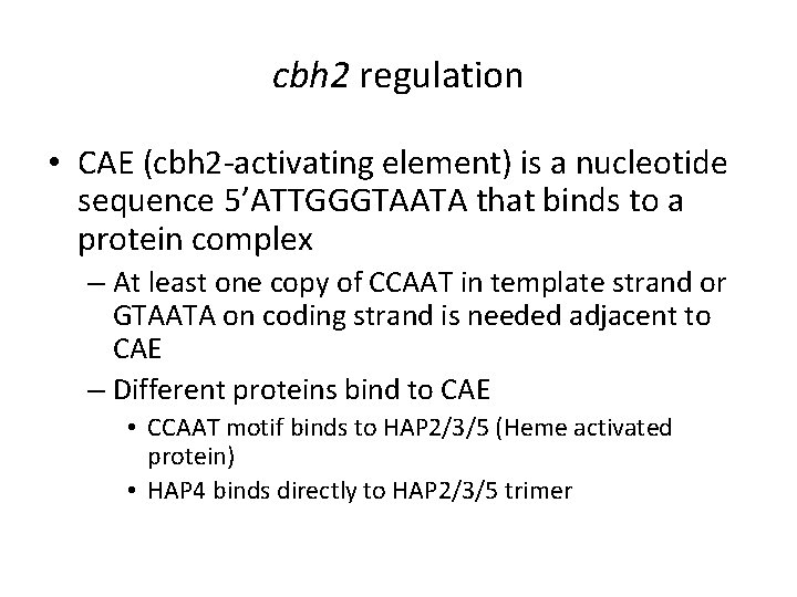 cbh 2 regulation • CAE (cbh 2 -activating element) is a nucleotide sequence 5’ATTGGGTAATA