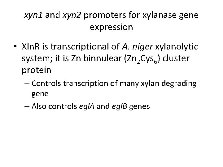 xyn 1 and xyn 2 promoters for xylanase gene expression • Xln. R is