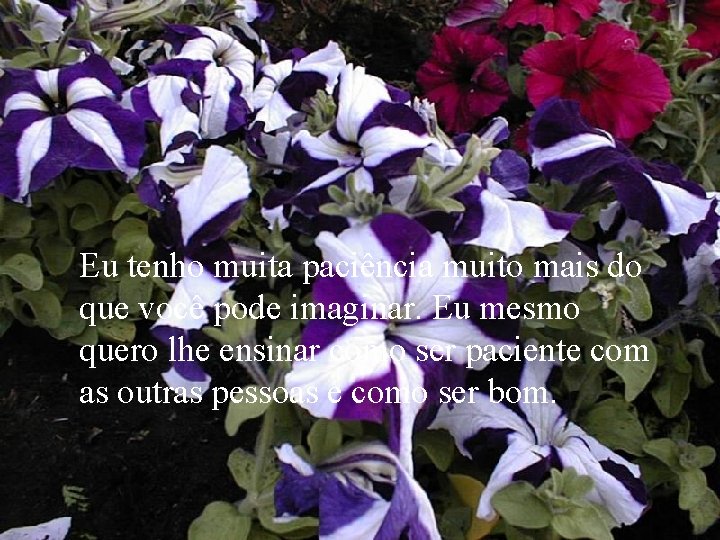 Eu tenho muita paciência muito mais do que você pode imaginar. Eu mesmo quero