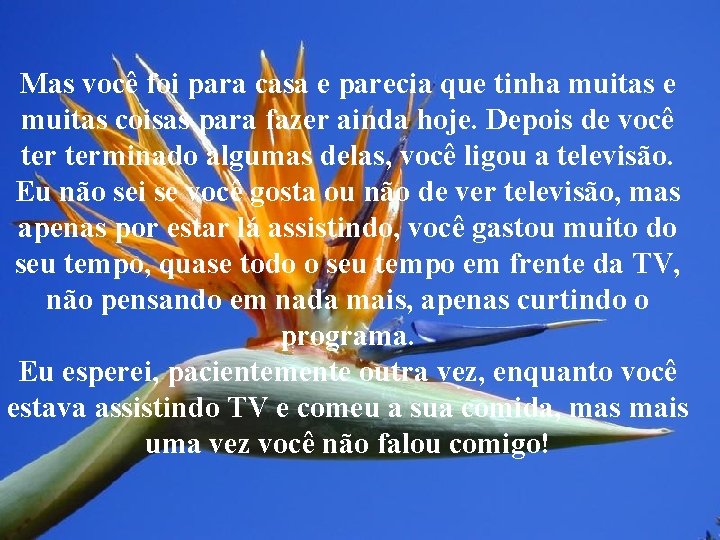 Mas você foi para casa e parecia que tinha muitas e muitas coisas para