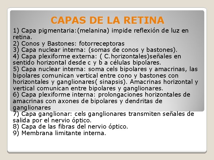 CAPAS DE LA RETINA 1) Capa pigmentaria: (melanina) impide reflexión de luz en retina.