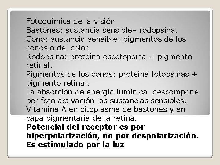 Fotoquímica de la visión Bastones: sustancia sensible– rodopsina. Cono: sustancia sensible- pigmentos de los