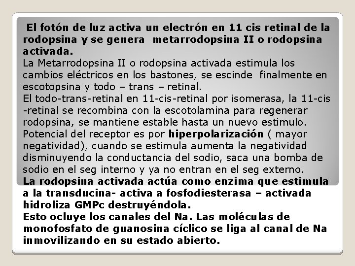 El fotón de luz activa un electrón en 11 cis retinal de la rodopsina