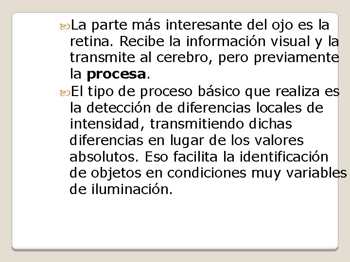  La parte más interesante del ojo es la retina. Recibe la información visual