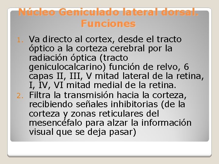 Núcleo Geniculado lateral dorsal. Funciones Va directo al cortex, desde el tracto óptico a