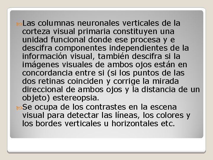  Las columnas neuronales verticales de la corteza visual primaria constituyen una unidad funcional