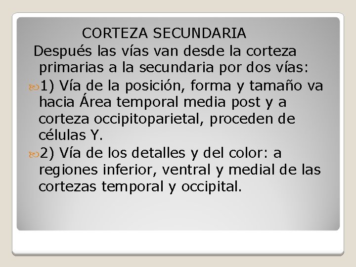 CORTEZA SECUNDARIA Después las vías van desde la corteza primarias a la secundaria por