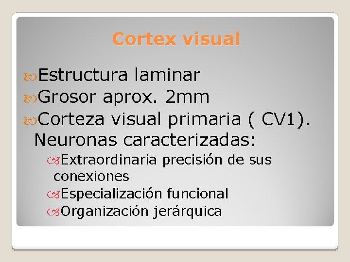 Cortex visual Estructura laminar Grosor aprox. 2 mm Corteza visual primaria ( CV 1).