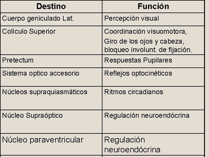 Destino Función Cuerpo geniculado Lat. Percepción visual Colículo Superior Coordinación visuomotora, Giro de los