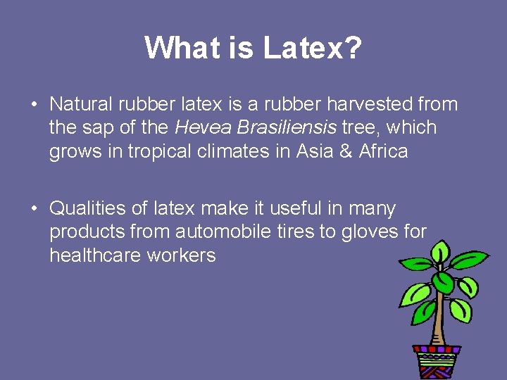 What is Latex? • Natural rubber latex is a rubber harvested from the sap