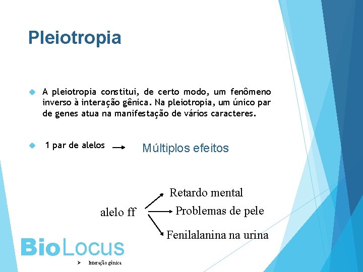 Pleiotropia A pleiotropia constitui, de certo modo, um fenômeno inverso à interação gênica. Na