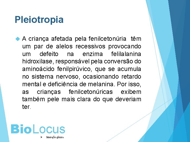 Pleiotropia A criança afetada pela fenilcetonúria têm um par de alelos recessivos provocando um