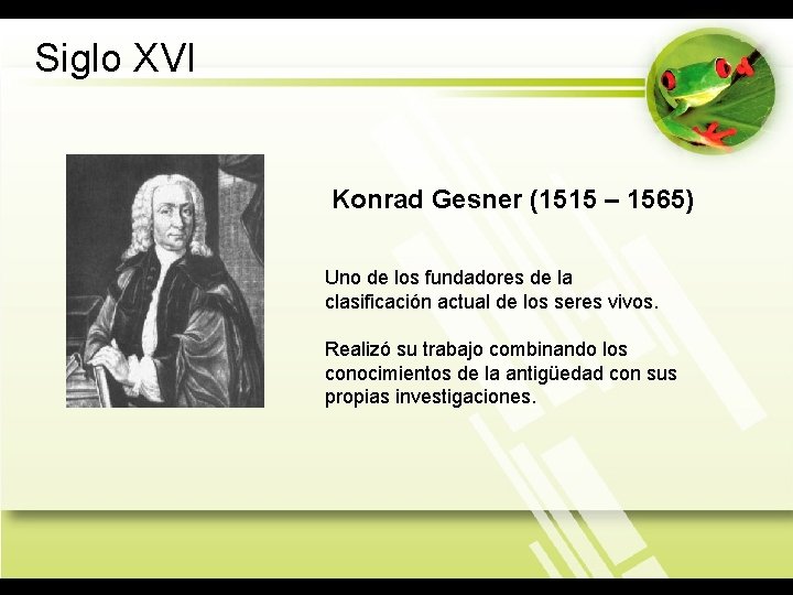 Siglo XVI Konrad Gesner (1515 – 1565) Uno de los fundadores de la clasificación