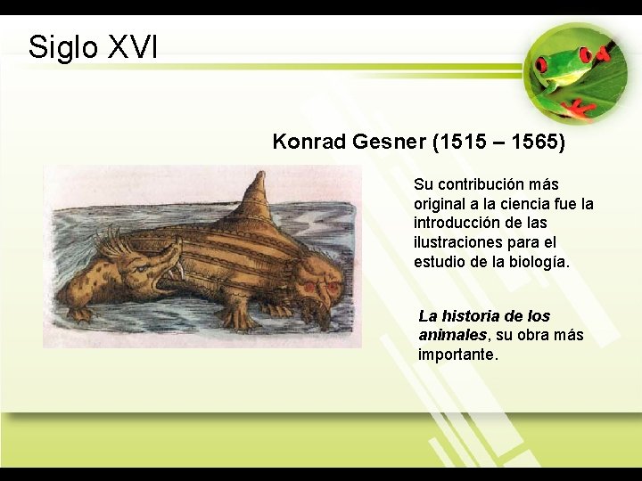 Siglo XVI Konrad Gesner (1515 – 1565) Su contribución más original a la ciencia