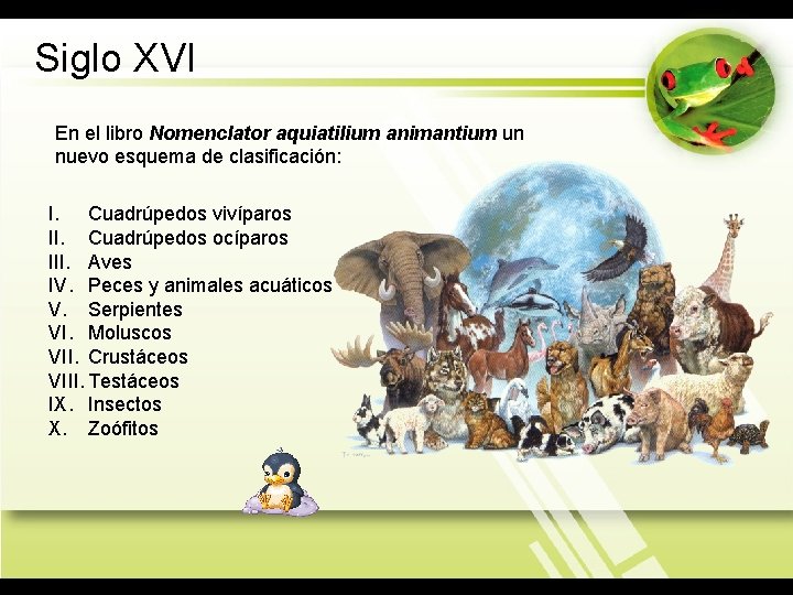 Siglo XVI En el libro Nomenclator aquiatilium animantium un nuevo esquema de clasificación: I.