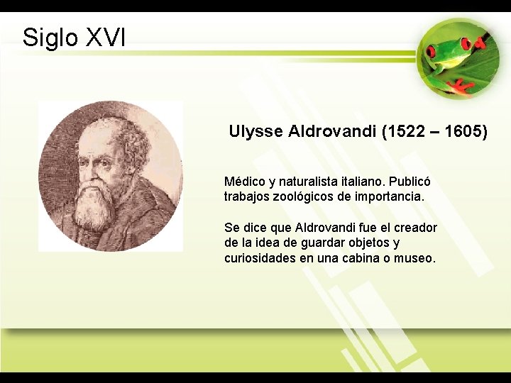 Siglo XVI Ulysse Aldrovandi (1522 – 1605) Médico y naturalista italiano. Publicó trabajos zoológicos