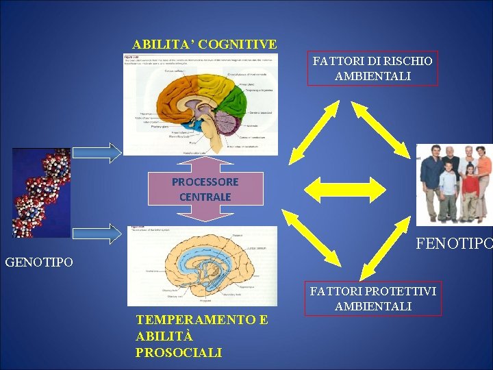 ABILITA’ COGNITIVE FATTORI DI RISCHIO AMBIENTALI PROCESSORE CENTRALE FENOTIPO GENOTIPO TEMPERAMENTO E ABILITÀ PROSOCIALI