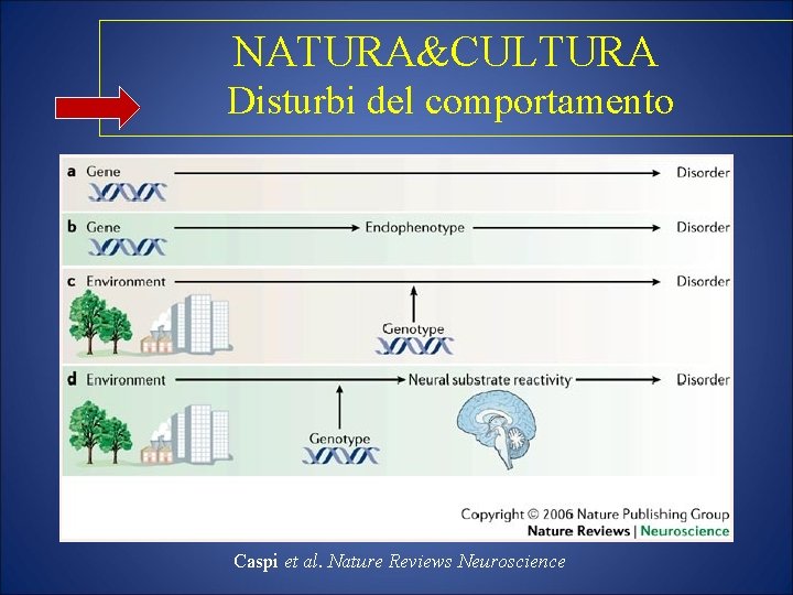 NATURA&CULTURA Disturbi del comportamento Caspi et al. Nature Reviews Neuroscience 