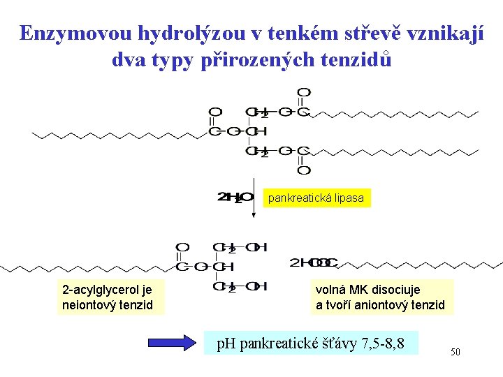 Enzymovou hydrolýzou v tenkém střevě vznikají dva typy přirozených tenzidů pankreatická lipasa 2 -acylglycerol