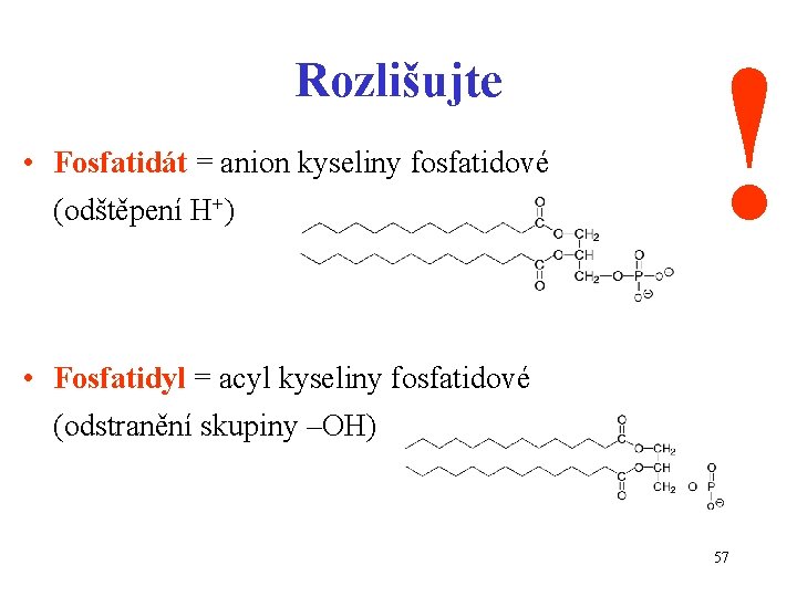 Rozlišujte • Fosfatidát = anion kyseliny fosfatidové (odštěpení H+) ! • Fosfatidyl = acyl