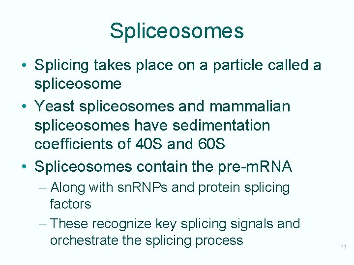 Spliceosomes • Splicing takes place on a particle called a spliceosome • Yeast spliceosomes