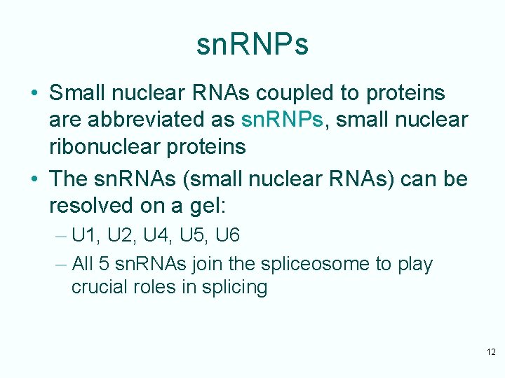 sn. RNPs • Small nuclear RNAs coupled to proteins are abbreviated as sn. RNPs,