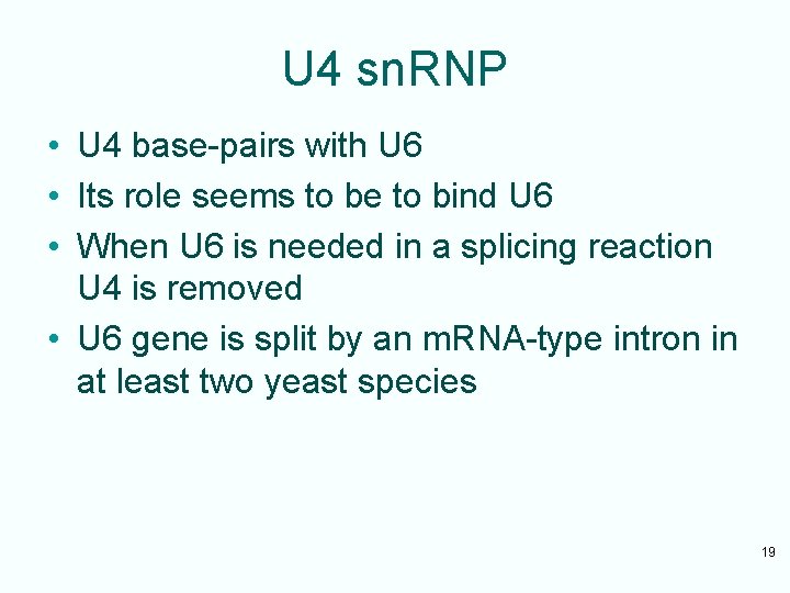 U 4 sn. RNP • U 4 base-pairs with U 6 • Its role