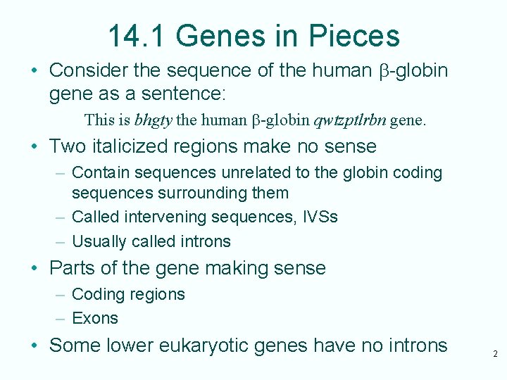 14. 1 Genes in Pieces • Consider the sequence of the human b-globin gene