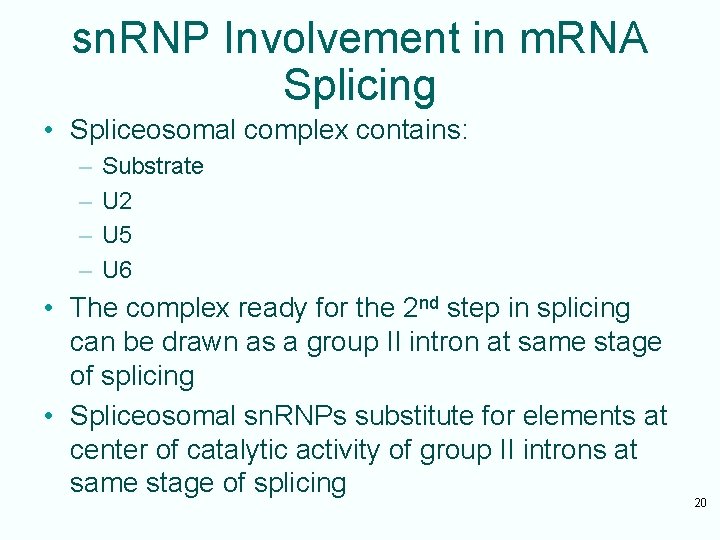 sn. RNP Involvement in m. RNA Splicing • Spliceosomal complex contains: – – Substrate