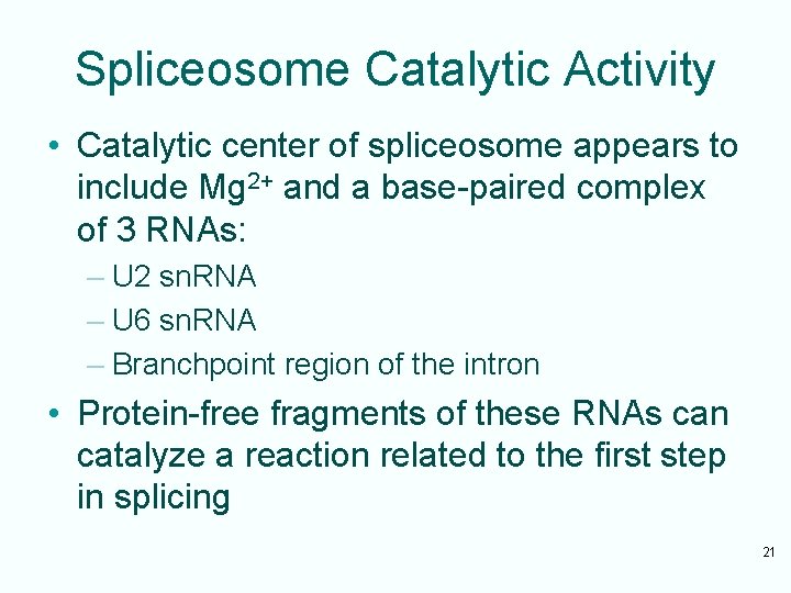 Spliceosome Catalytic Activity • Catalytic center of spliceosome appears to include Mg 2+ and