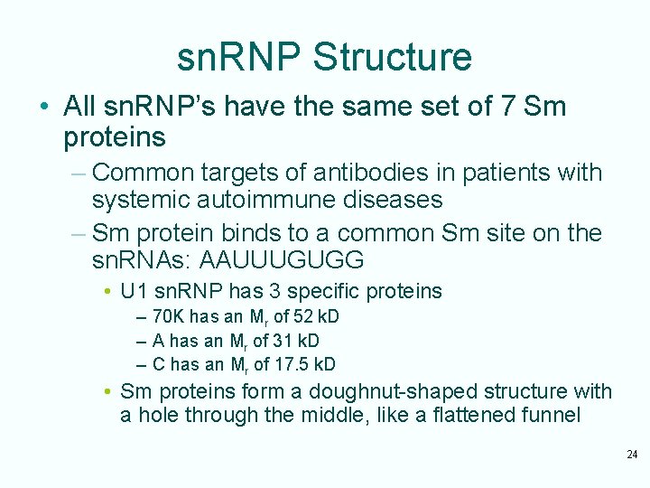 sn. RNP Structure • All sn. RNP’s have the same set of 7 Sm