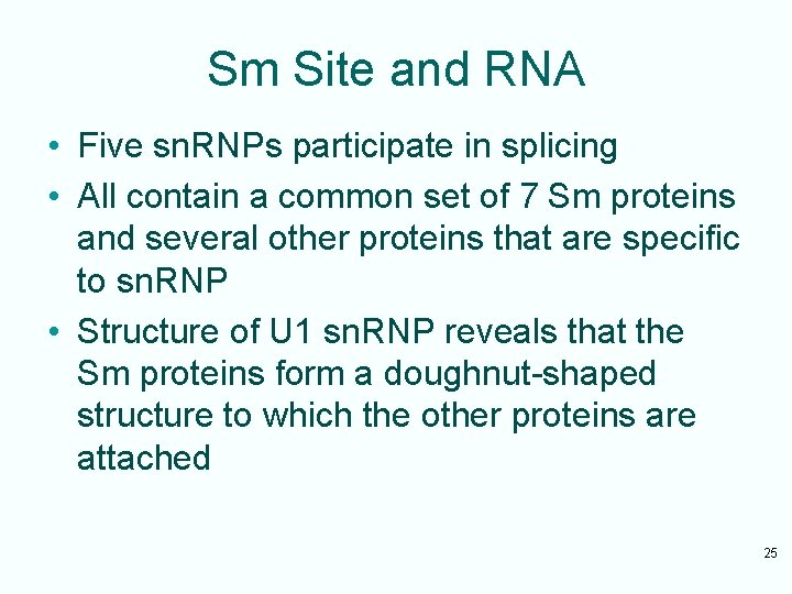 Sm Site and RNA • Five sn. RNPs participate in splicing • All contain