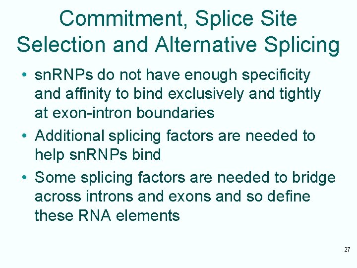 Commitment, Splice Site Selection and Alternative Splicing • sn. RNPs do not have enough