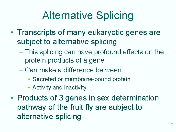 Alternative Splicing • Transcripts of many eukaryotic genes are subject to alternative splicing –