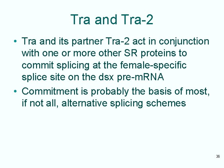Tra and Tra-2 • Tra and its partner Tra-2 act in conjunction with one