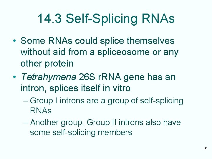 14. 3 Self-Splicing RNAs • Some RNAs could splice themselves without aid from a