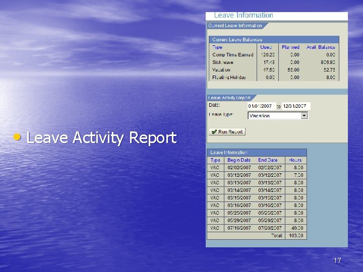  • Leave Activity Report 17 