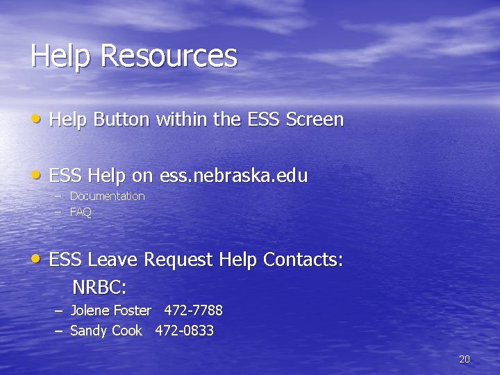 Help Resources • Help Button within the ESS Screen • ESS Help on ess.