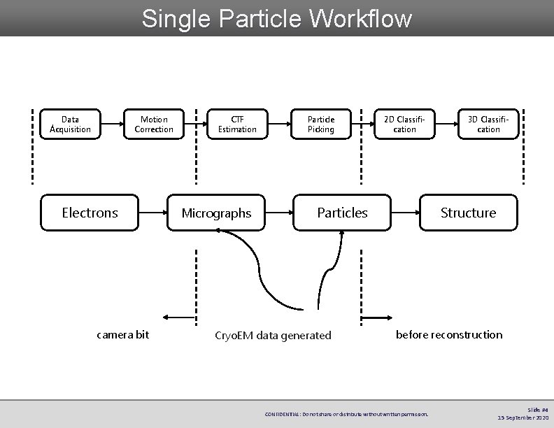 Single Particle Workflow Data Acquisition Motion Correction Electrons camera bit CTF Estimation Micrographs Particle