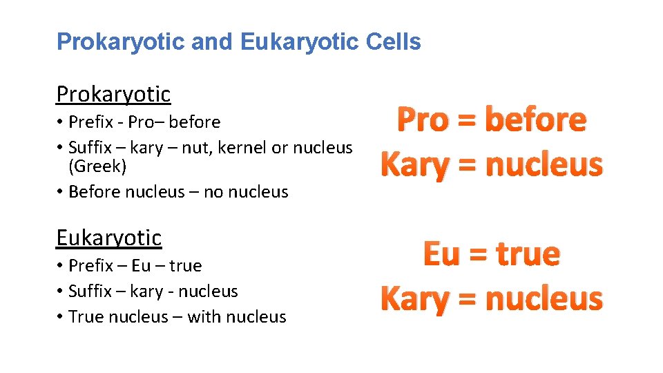 Prokaryotic and Eukaryotic Cells Prokaryotic • Prefix - Pro– before • Suffix – kary