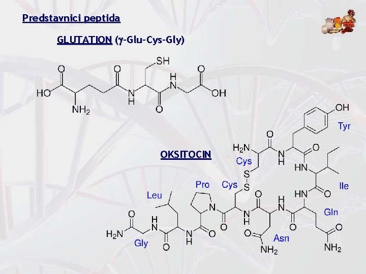 Predstavnici peptida GLUTATION (g-Glu-Cys-Gly) OKSITOCIN 
