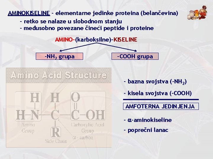 AMINOKISELINE – elementarne jedinke proteina (belančevina) - retko se nalaze u slobodnom stanju -