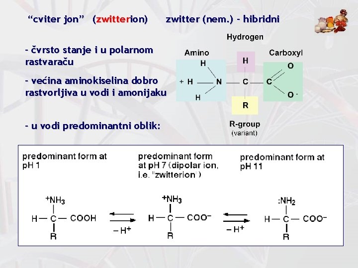 “cviter jon” (zwitterion) zwitter (nem. ) – hibridni - čvrsto stanje i u polarnom
