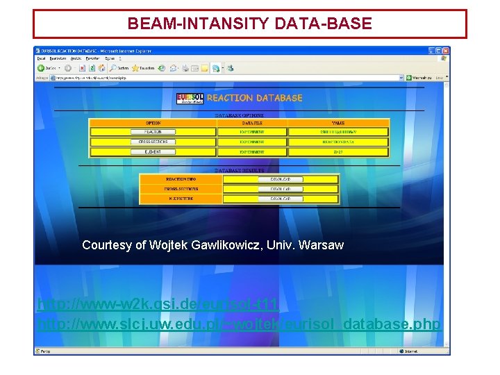 BEAM-INTANSITY DATA-BASE Courtesy of Wojtek Gawlikowicz, Univ. Warsaw http: //www-w 2 k. gsi. de/eurisol-t