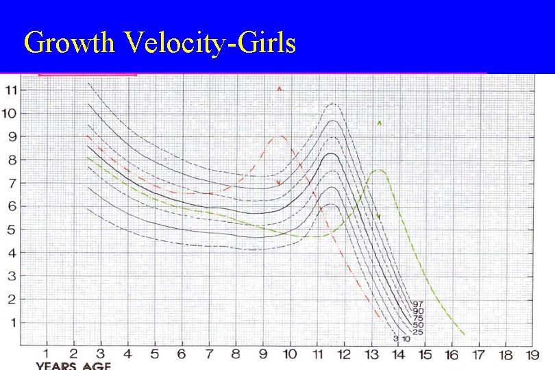 Growth Velocity-Girls 