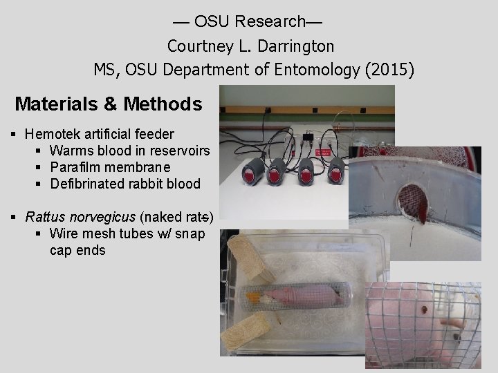 — OSU Research— Courtney L. Darrington MS, OSU Department of Entomology (2015) Materials &